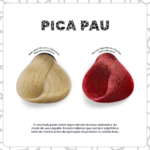 Pica-Pau