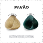 Pavão