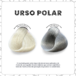 Urso-Polar